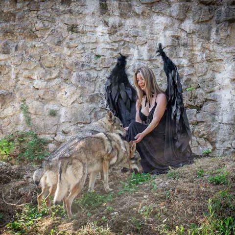 cehoslovacki-vucji-pas