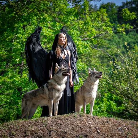 ceski-vuk-riara-mufasa