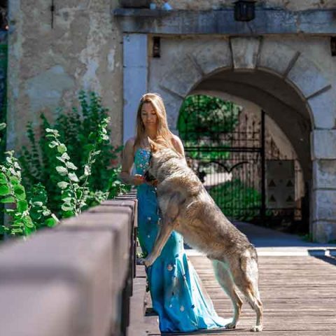 ceski-vuk-van-luk-wolf-1