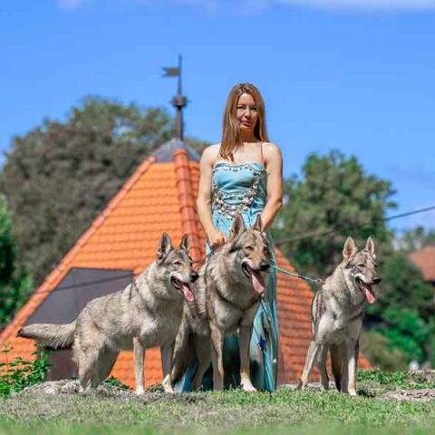 ceski-vuk-van-luk-wolf-15