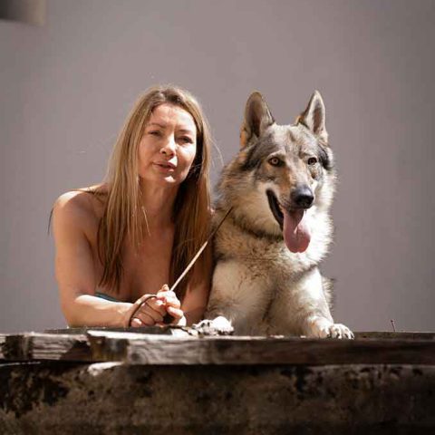 ceski-vuk-van-luk-wolf-16