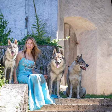 ceski-vuk-van-luk-wolf-2