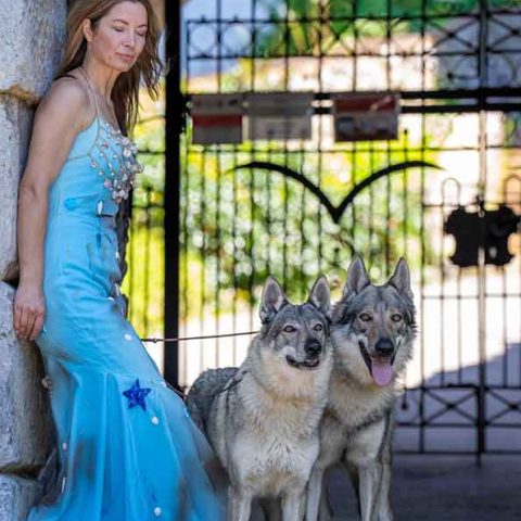 ceski-vuk-van-luk-wolf-3