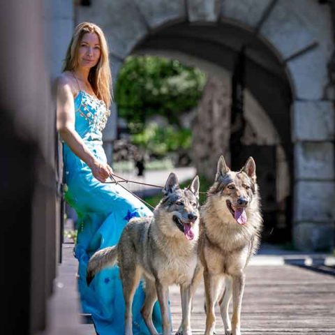 ceski-vuk-van-luk-wolf-4