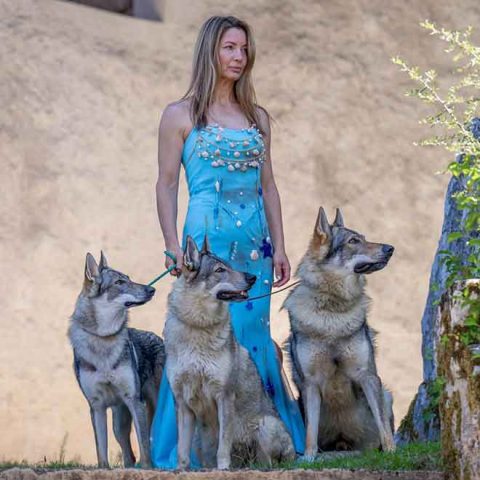 ceski-vuk-van-luk-wolf-5