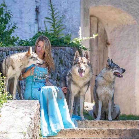 ceski-vuk-van-luk-wolf-6