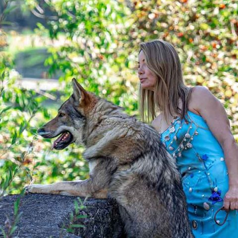 ceski-vuk-van-luk-wolf-8