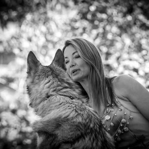 ceski-vuk-van-luk-wolf-9