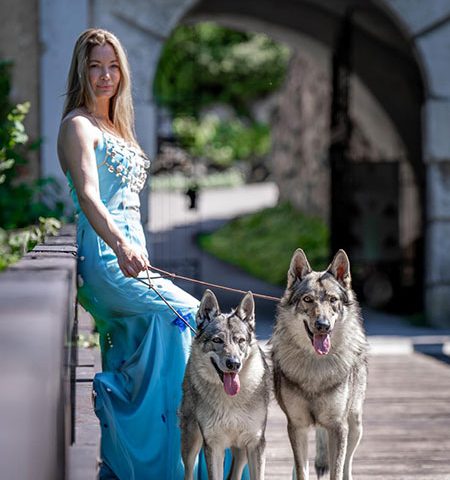 cehoslovacki-vucji-pas-4