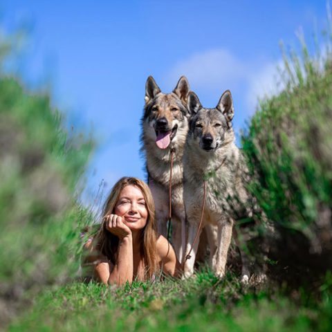 van-luk-wolf-ceski-vuk-2