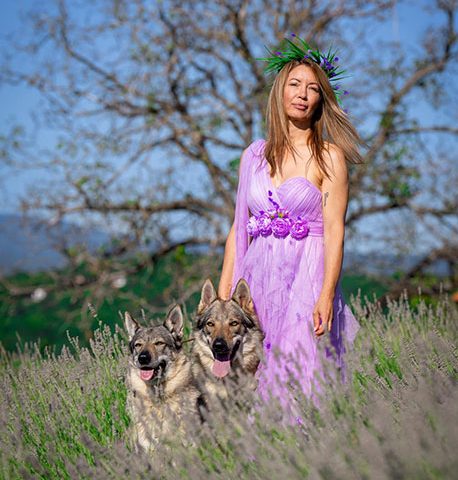 van-luk-wolf-ceski-vuk-4